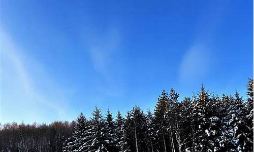 眠霜卧雪简单的造句_眠霜卧雪