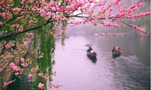 流水桃花音乐_流水桃花