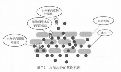 窥豹一斑是什么意思_窥豹一斑