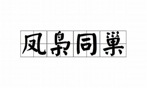 凤枭同巢猜数字_凤枭同巢