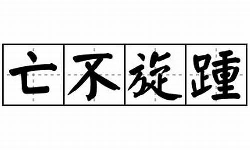 亡不旋踵_亡不旋踵:答三个数字