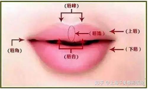 唇辅相连_唇辅相连的意思