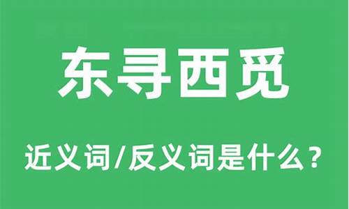 东寻西觅_东寻西觅来找线调查表怎么写