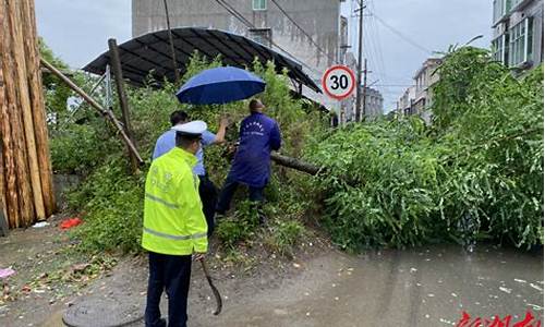 狂风暴雨_狂风骤雨