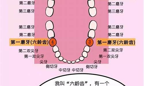 就剩牙根了还能镶牙吗-磨牙凿齿