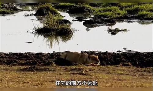 大模大样地离开的四字词语-大模大样